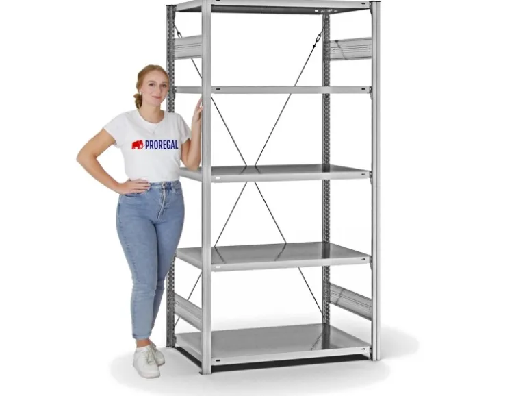 PROREGAL Fachbodenregal Stecksystem T-Profil Light-Duty Grundregal HxBxT 200 x 100 x 60 cm 5 Ebenen Fachlast 140 kg Einseitig Nutzbar Verzinkt
