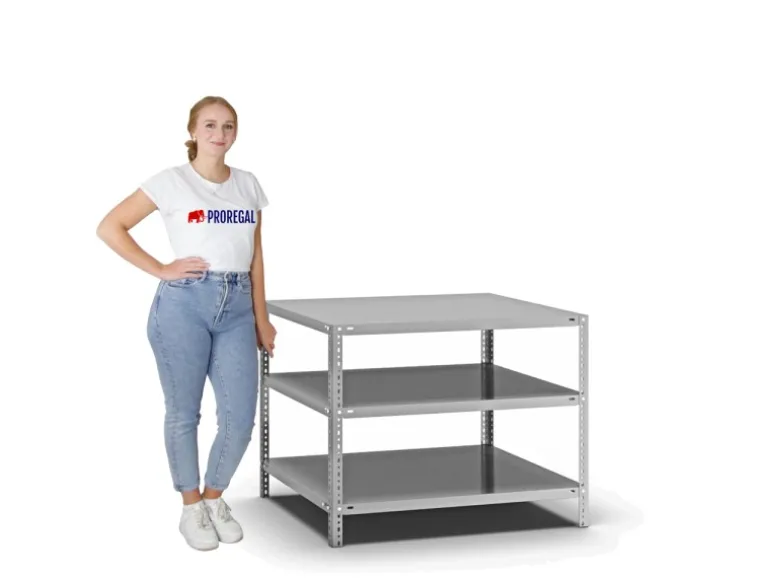 PROREGAL Fachbodenregal Schraubsystem Heavy-Duty Grundregal HxBxT 80 x 100 x 80 cm 3 Ebenen Fachlast 350 kg Beidseitig Nutzbar Verzinkt