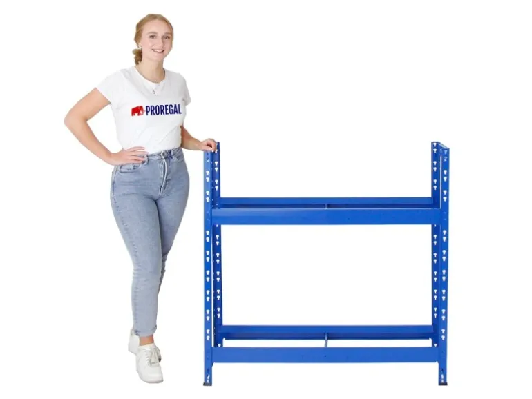 PROREGAL Mega Deal 5x Reifenregal Tiger HxBxT 100 x 110 x 35 cm Bis Zu 40 Reifen Blau