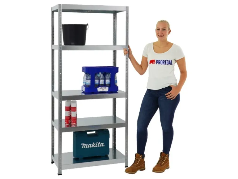 PROREGAL Schwerlastregal Steel Eagle HxBxT 180 x 80 x 40 cm Fachlast 130 kg Verzinkt