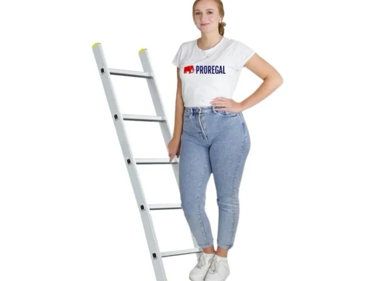 PROREGAL Sprossen-Anlegeleiter Economy Plus Ohne Traverse 5 Sprossen Arbeitshöhe 2,43 m Traglast 150 kg