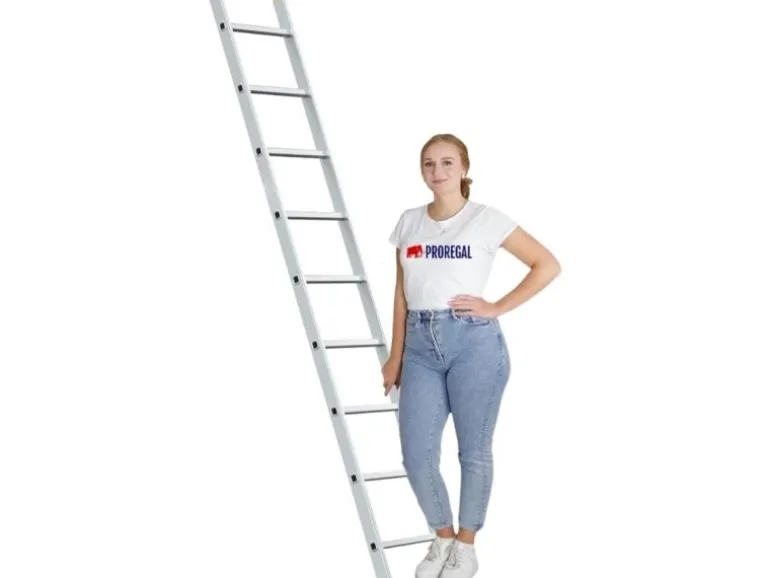 PROREGAL Sprossen-Anlegeleiter Economy Plus Ohne Traverse 9 Sprossen Arbeitshöhe 3,46 m Traglast 150 kg