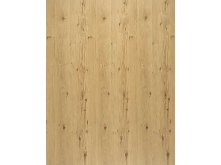 Regalboden Eiche Astig 120 cm x 20 cm x 1,6 cm