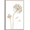 Reinders Gerahmtes Bild Trockenblumen für Wohnzimmer 30 cm x 20 cm Beige