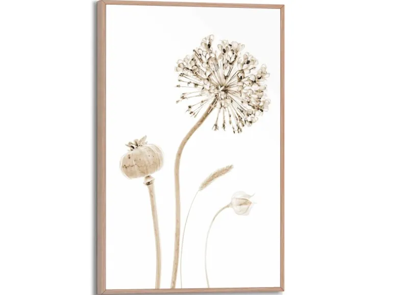 Reinders Gerahmtes Bild Trockenblumen für Wohnzimmer 30 cm x 20 cm Beige