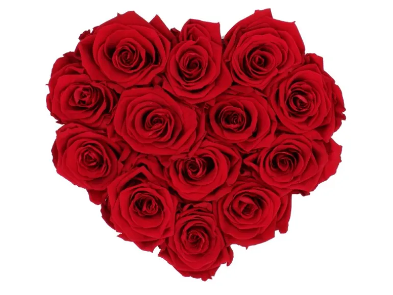 Rosenbox Herz Weiß-Schwarz mit 13 Bordeaux Rosen