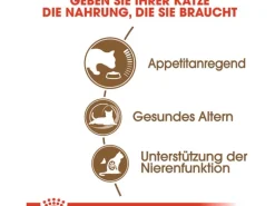 Royal Canin Ageing 12+ Trockenfutter für ältere Katzen 2 kg
