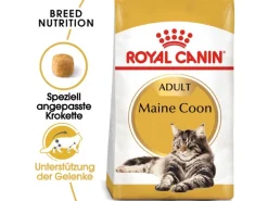 Royal Canin Maine Coon Adult Katzenfutter Trocken 10 kg