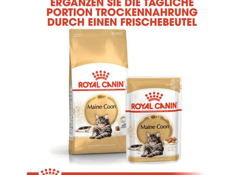 Royal Canin Maine Coon Adult Katzenfutter Trocken 10 kg