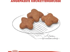 Royal Canin Mini Adult 8+ Trockenfutter Ältere Kleine Hunde 2 kg