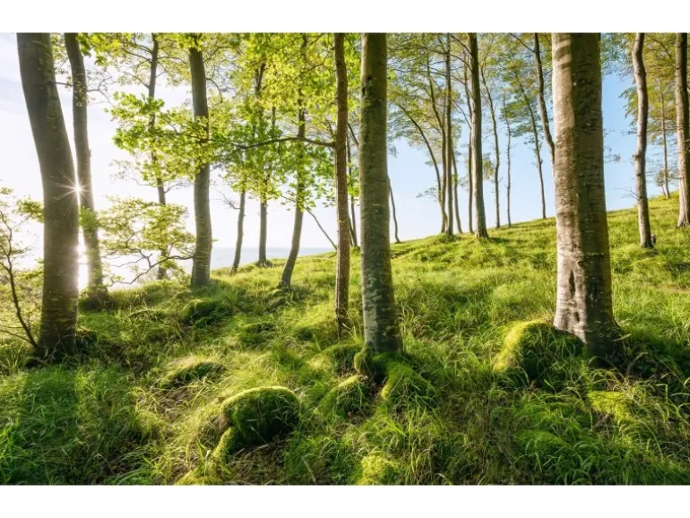 Sanders & Sanders Fototapete Landschaft Grün und Blau 450 x 280 cm 612683