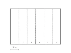 Sanders & Sanders Fototapete Fisch Blau 300 x 280 cm 612031
