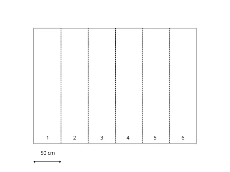 Sanders & Sanders Fototapete Fisch Blau 300 x 280 cm 612031