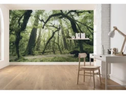 Sanders & Sanders Fototapete Wald Grün 450 x 280 cm 612685