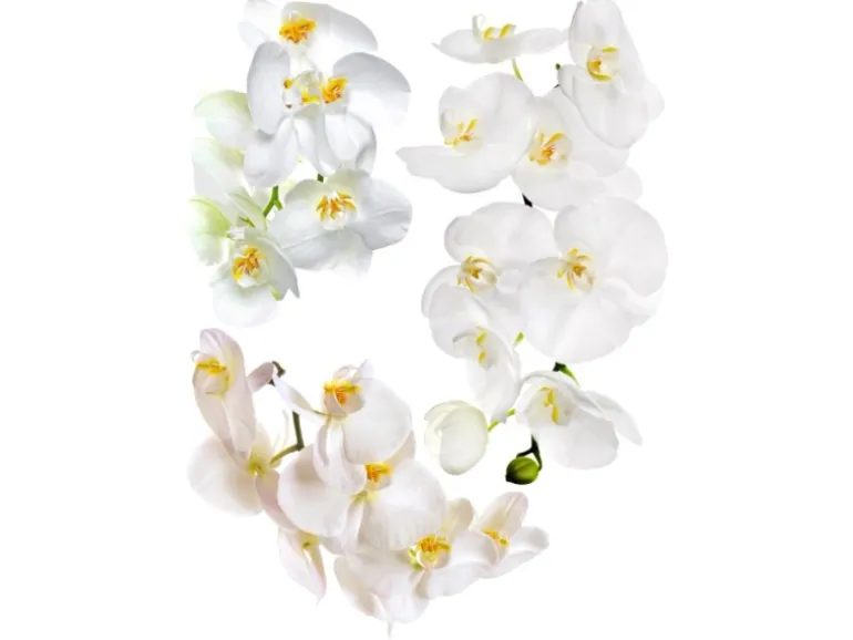 Sanders & Sanders Wandtattoo Blumen Weiß 65 x 85 cm 600283