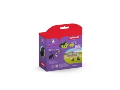 Schleich Horse Club Tori und Princess Set