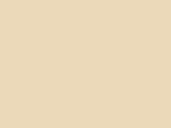 Schöner Wohnen My Colour My Sisal matt 5 l