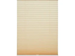 Schöner Wohnen Plissee Milla 120 cm x 130 cm Beige