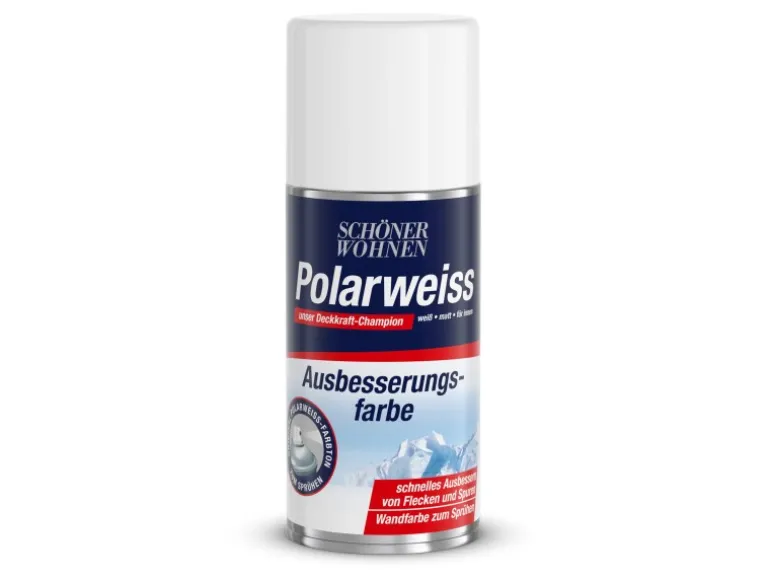 Schöner Wohnen Polarweiss Ausbesserungsfarbe Spray 150 ml