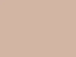 Schöner Wohnen Trendfarbe Sand matt 5 l