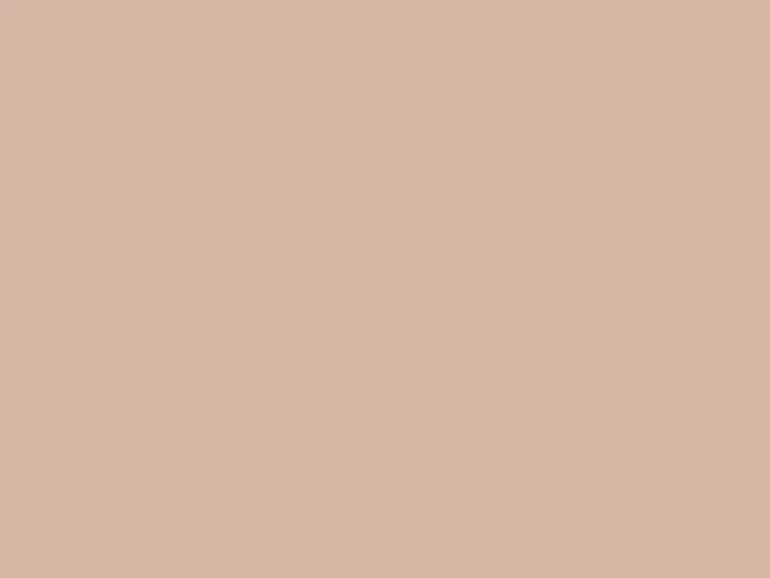 Schöner Wohnen Trendfarbe Sand matt 5 l