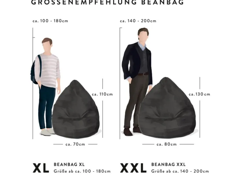 Sitting Point Sitzsack BeanBag Softy 220 l Grau