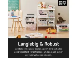 SmartStore Aufbewahrungsbox Classic mit Deckel 25 l
