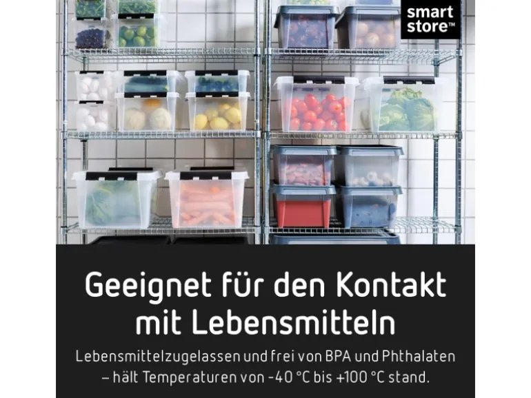 SmartStore Aufbewahrungsbox Classic mit Deckel 25 l
