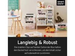 SmartStore Aufbewahrungsbox Classic mit Deckel 31 l