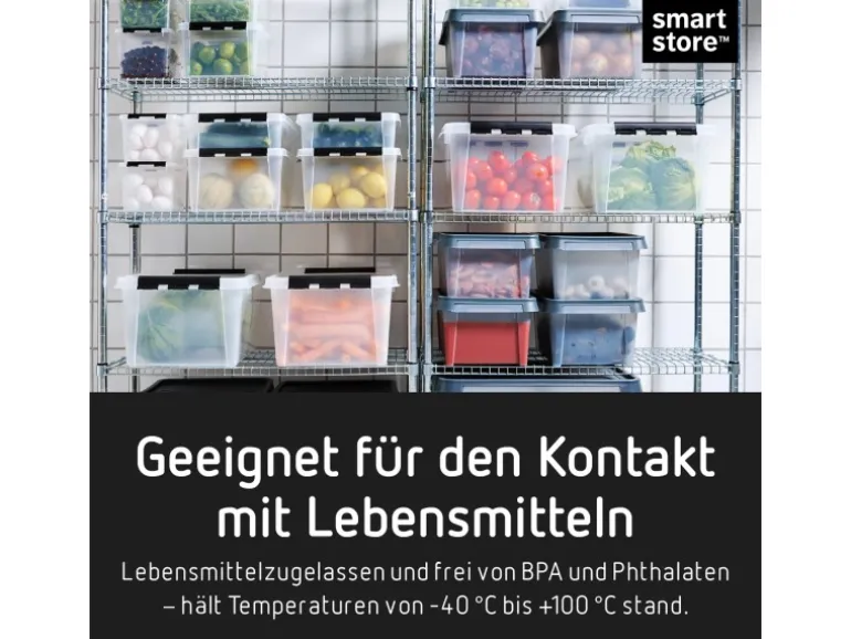 SmartStore Aufbewahrungsbox Classic mit Deckel 1 l