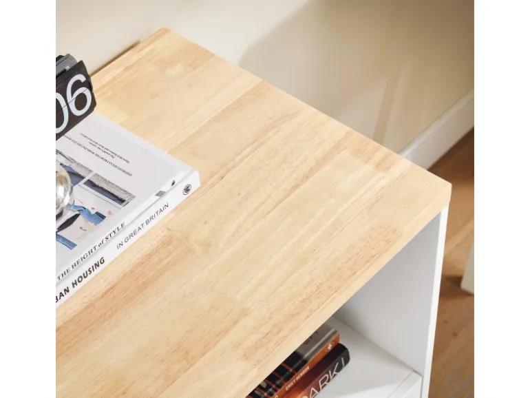 SoBuy Aktenschrank Druckertisch mit 3 Schubladen und 1 Tür Sideboard für Büro ASK07-WN