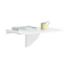 SoBuy Esstisch Klapptisch Küchentisch Wandtisch 60x40cm Weiß FWT03-W