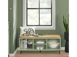SoBuy Schuhbank mit Sitzfläche und Schiebetüren MDF Glas Grün FSR115-GR