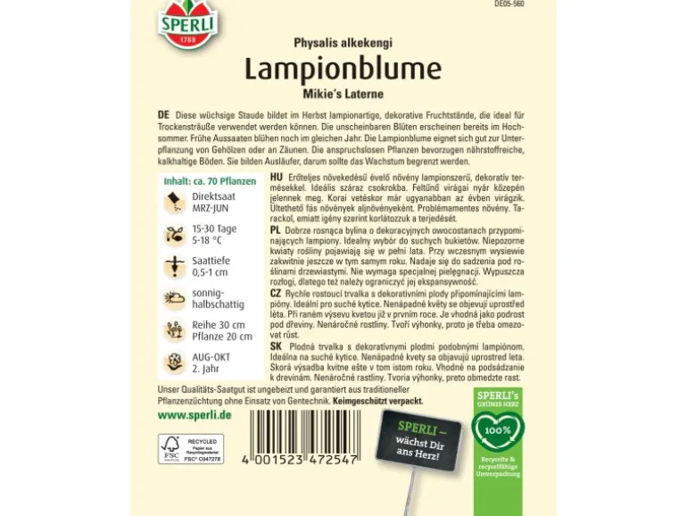 Sperli Lampionblume "Mikie's Laterne" Physalis alkekengi