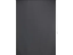 Tageslicht-Rollo Zamora 120 cm x 175 cm Grau