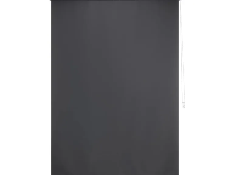 Tageslicht-Rollo Zamora 120 cm x 175 cm Grau