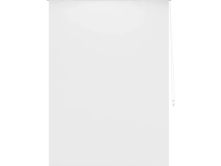 Tageslicht-Rollo Zamora 100 cm x 175 cm Weiß