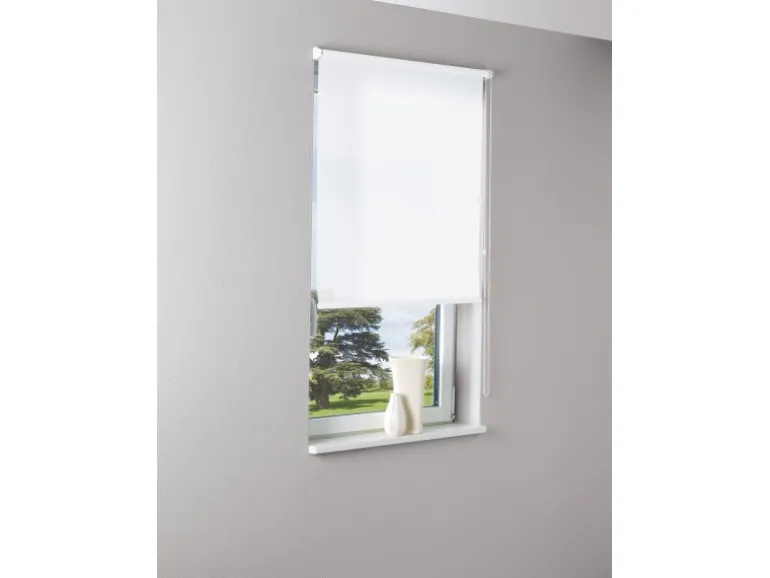 Tageslicht-Rollo Zamora 100 cm x 175 cm Weiß
