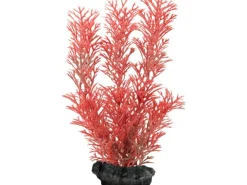 Tetra Kunstpflanze DecoArt Plant S Foxtail Red