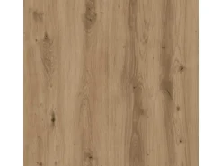 vidaXL Bücherregal Artisan-Eiche 60x20x120 cm Holzwerkstoff 858155