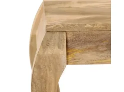 vidaXL Beistelltisch 45 x 45 x 40 cm Mangoholz Massiv
