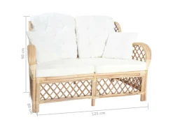 vidaXL 2-Sitzer-Sofa Rattan