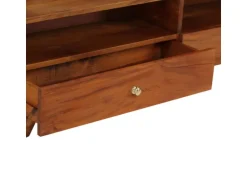 vidaXL TV-Schrank Altholz Massiv 140x30x40 cm