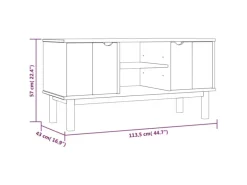 vidaXL TV-Schrank OTTA 113,5x43x57 cm Massivholz Kiefür