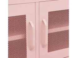 vidaXL TV-Schrank Rosa 105x35x50 cm Stahl