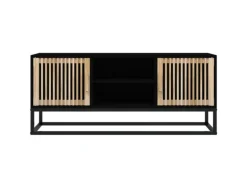 vidaXL TV-Schrank Schwarz 105x30x45 cm Holzwerkstoff und Eisen