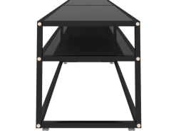 vidaXL TV-Schrank Schwarz 220x40x40,5 cm Hartglas