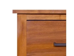 vidaXL TV-Schrank 90x50x37 cm Massivholz Teak