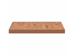 vidaXL Waschtischplatte 100x60x4 cm Massivholz Buche