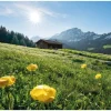 Vlies Fototapete Alpenglück 400x280 cm